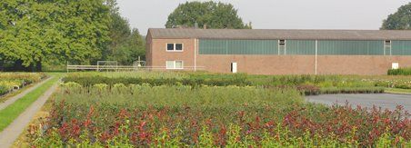 Baumschule für Containerpflanzen in
Wiefelstede